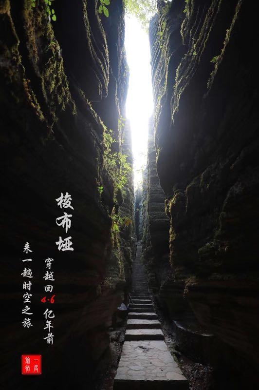 淄博大学生路遇大叔骑车摔倒 毫不犹豫上前帮忙 “我心里就是想不能不管”
