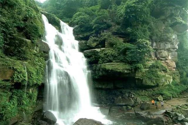 宁波本土双星对彪同曦双外援,同砍51分,同曦轻取宁波队